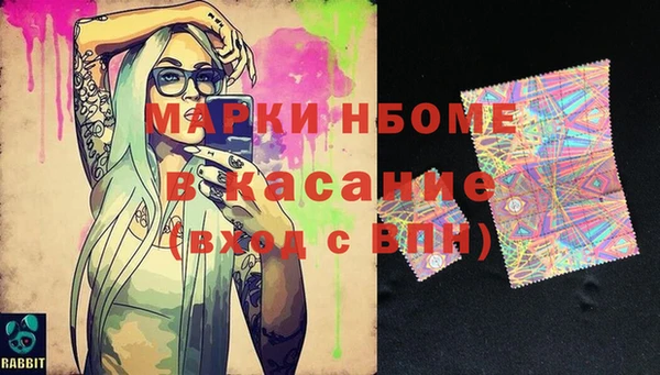 индика Алексин