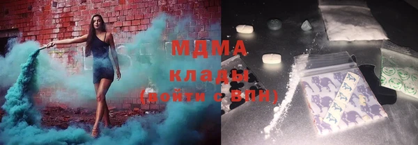 индика Алексин