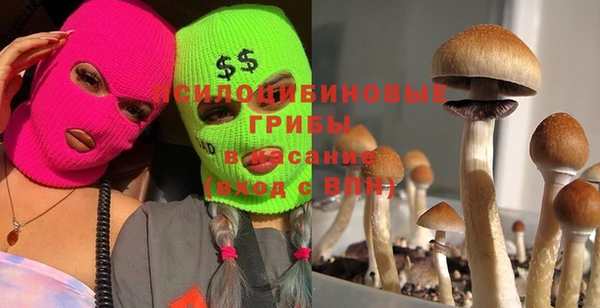 марки lsd Алексеевка