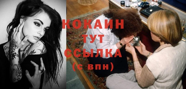 индика Алексин