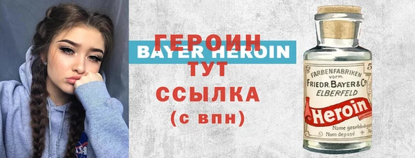 индика Алексин