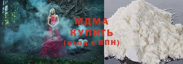 индика Алексин
