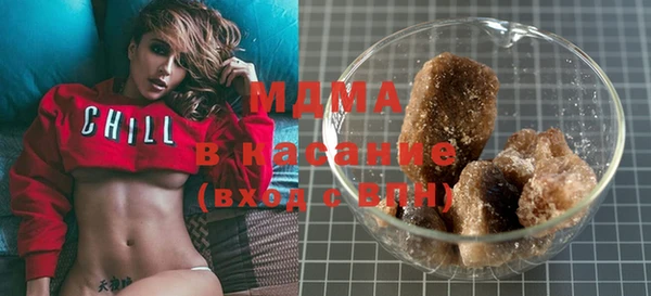 индика Алексин
