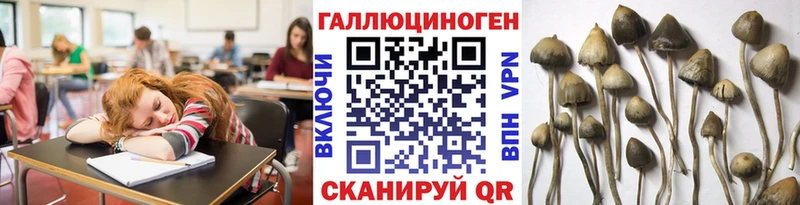 Галлюциногенные грибы MAGIC MUSHROOMS  Алексеевка 