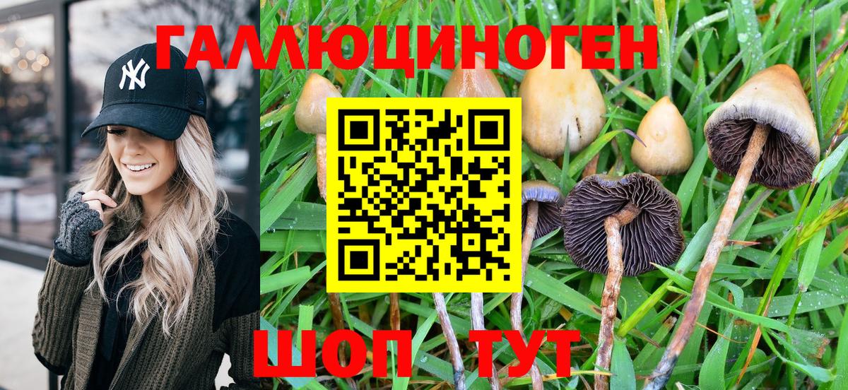 Алексеевка  Псилоцибиновые грибы ЛСД  Галлюциногенные грибы Magic Shrooms  Вход с VPN 